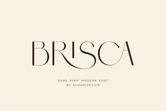 Brisca Font Modern Design and Creative Usage Ideas